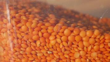 A CloseUp View of Spoon Pick Dried Orange Lentils Displayed in a Transparent Clear Container video