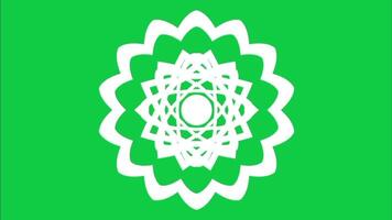 white kaleidoscope circles and star creating a contrasting and curvy digital effect on green screen. video