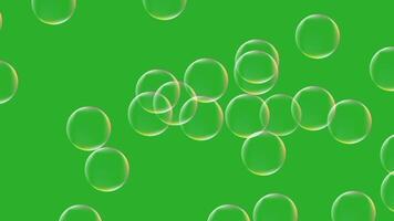 Smooth animation of floating water bubbles. Realistic bubbles slow appearing at random locations on green screen. video