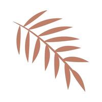A palm leaf icon on a white background vector