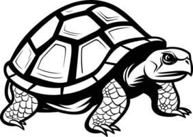 Black and white illustration of a turtle in a classic, bold style vector
