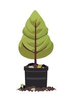 A small tree in a pot on a white background vector