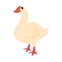 A cartoon duck standing on a white background vector