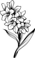 Elegant black and white illustration of a hyacinth flower, perfect for adding a touch of nature to your designs vector