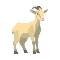 A goat standing on a white background vector