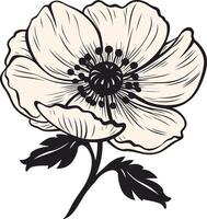 Black and White Illustration of a Single Poppy vector
