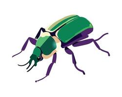 A green beetle with a long tail on a white background vector