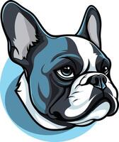 Cool, cartoon-style illustration of a french bulldog with a serious expression vector