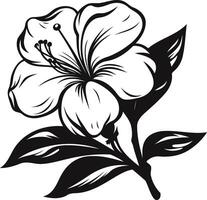 A beautiful black and white illustration of a hibiscus flower vector