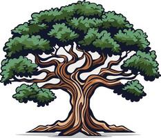 A beautifully illustrated, cartoon style oak tree with a thick trunk and intricate branches, standing tall and proud on a white background vector
