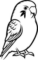 A simple and stylish line drawing of a budgie, perfect for coloring pages, educational materials, or pet related designs vector