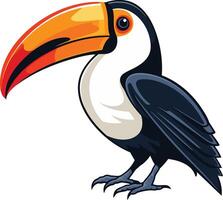 Colorful Toucan with a Large Beak vector