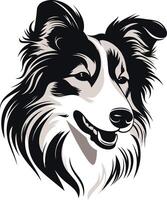 Black and White Portrait of a Smiling Collie vector