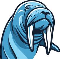 A bold, cartoon style illustration of a walrus with prominent tusks vector