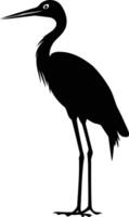 A simple yet elegant silhouette of a graceful heron standing tall vector