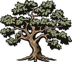 A sturdy oak tree stands tall with branches reaching towards the sky vector
