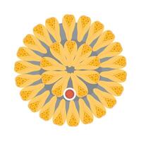 A circular arrangement of yellow and orange slices vector