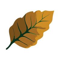 A brown leaf on a white background vector