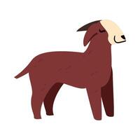 A goat with a long horn standing on a white background vector
