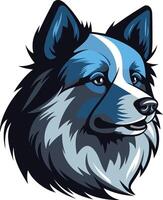 A striking portrait of a blue and white dog, with a friendly expression and fluffy fur vector