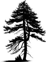 A dramatic silhouette of a single pine tree, its branches reaching out against a blank background vector