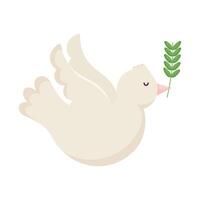 A white dove with a green branch in its beak vector