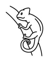 Chameleon on a branch line drawing vector