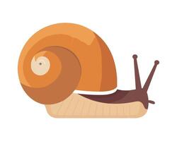 A snail is sitting on a white background vector