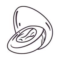A black and white drawing of a shell with a coin inside vector