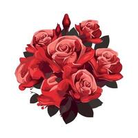 Red roses are arranged in a bouquet on a white background vector