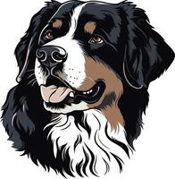 Portrait of a Bernese Mountain Dog vector