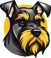 A cute and playful illustration of a miniature schnauzer with a yellow background vector