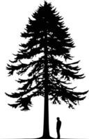 A solitary figure stands beneath a majestic pine tree vector