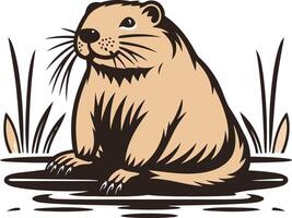 A Groundhog Sitting in the Water vector