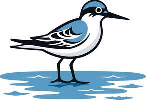 A simple yet charming illustration of a blue and white bird standing in a body of water vector