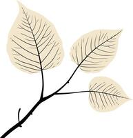 Simple Leaf Branch Illustration vector