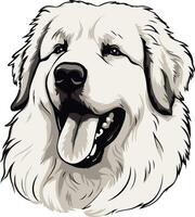Portrait of a Great Pyrenees Dog vector
