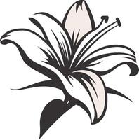 Simple, elegant line art illustration of a lily flower vector