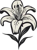 Elegant black and white illustration of a lily flower, perfect for adding a touch of nature and beauty to your designs vector