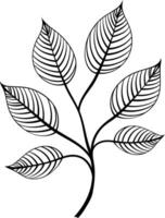 Simple black and white illustration of a stylized leaf branch, perfect for design projects, branding, and invitations vector