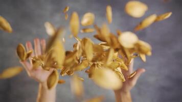 Toasted pumpkin seeds tossed high video