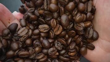 Coffee beans in the palms of the hand video