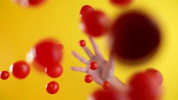 Tomatoes thrown from the hand video