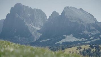 Sassolungo and Sassopiatto in dolomites video