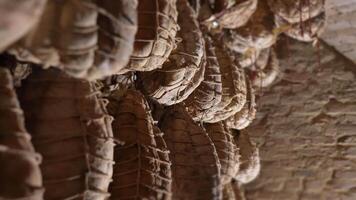 Cured meat with a Protected Designation of Origin video