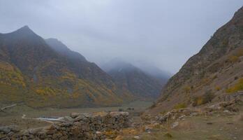 Seasonal autumn landscape in the Caucasus Mountains of Russia. Cloudy day with yellow trees and mountains behind. Popular travel destination in autumn photo