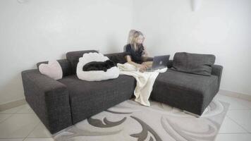 Timelapse of woman working on sofa on computer video