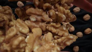 Shelled nuts fall down in the hands video