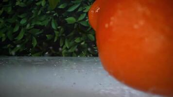 Mandarins fall in slow motion on the wet table video
