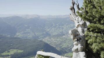 1 September 2023. Monte bullaccia. Face of an ugly witch on the mountains video